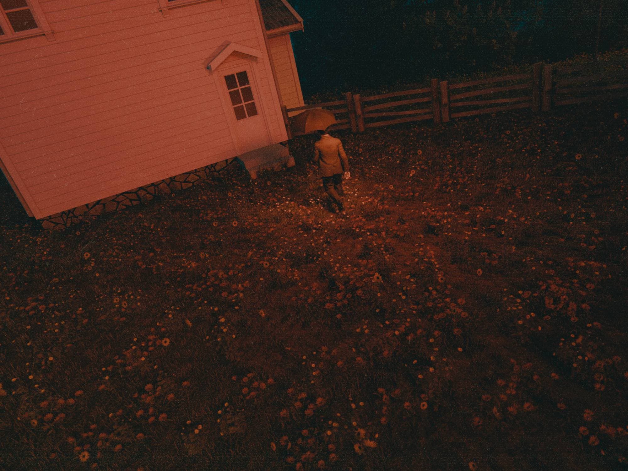 The Dichromatic Dream — 1